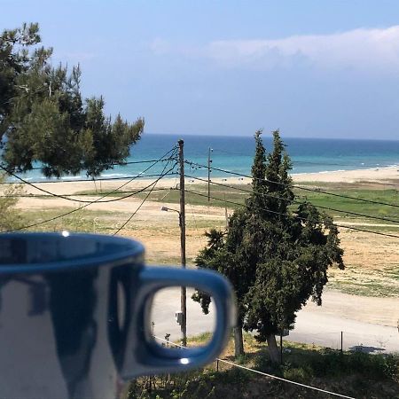 Halkidiki beach apartments Nea Kalikratia Vergia beach Nea Kallikrateia Exteriör bild